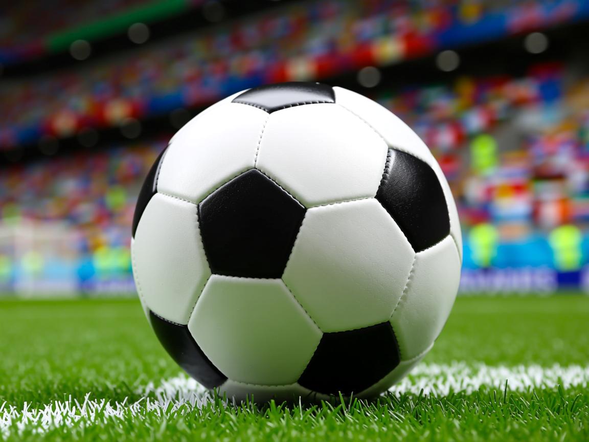 爱游戏官网-明星运动员线上见面会粉丝热情高涨，运动员找明星