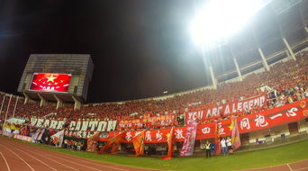 爱游戏体育娱乐-“运动舞蹈:金牛区城北体育馆让你看到的不仅仅是舞蹈,更是灵魂与身体的交响” 第3张